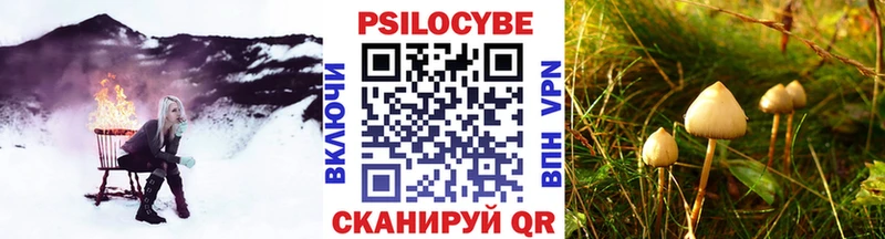 Купить закладки  Балашов  Псилоцибиновые грибы MAGIC MUSHROOMS 
